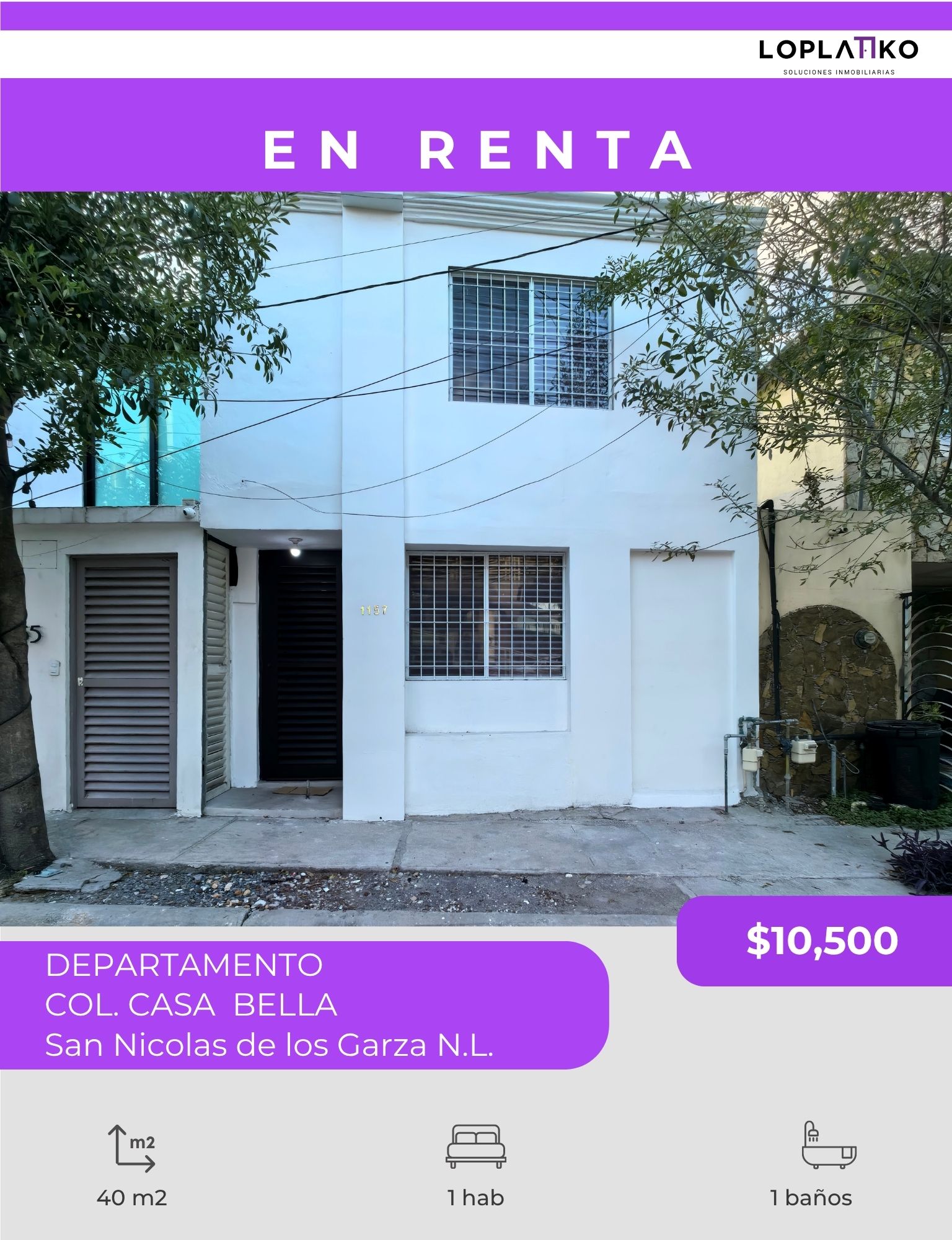 DEPARTAMENTO AMUEBLADO EN RENTA  COL. CASA BELLA, SAN NICOLAS DE LOS GARZA N.L.