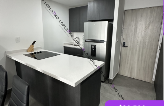 DEPARTAMENTO EN RENTA AMUEBLADO, CATEHUA, MONTERREY, N.L.